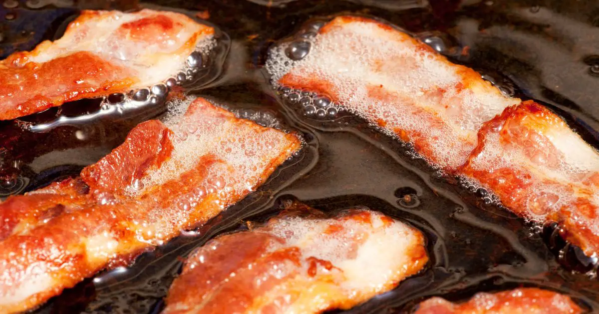 Image Of How To Store Bacon Grease - Essential Tips